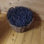 Lavender Valley Perekrestnoye