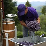 Lavender Valley شاليه Perekrestnoye
