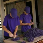 Lavender Valley شاليه *