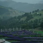 شاليه Lavender Valley Perekrestnoye