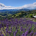 Lavender Valley Perekrestnoye