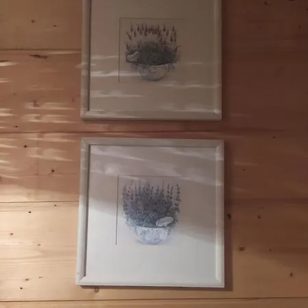 Lavender Valley Chalé