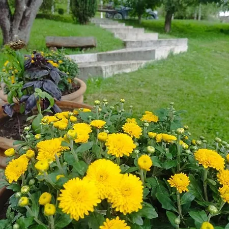 Lavender Valley * Perekrestnoye