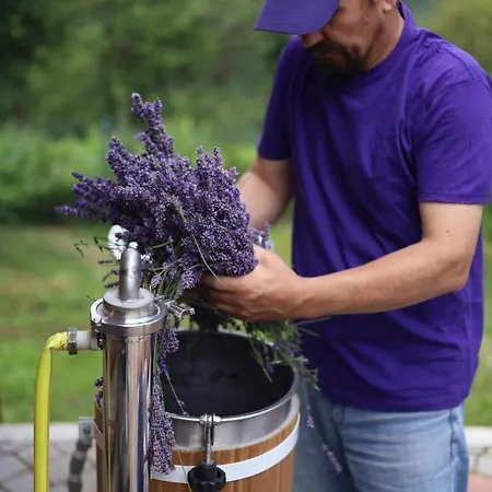 Lavender Valley *