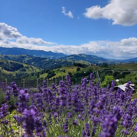 Lavender Valley Chalet *