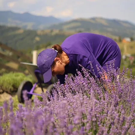 Lavender Valley Chalet Perekrestnoye
