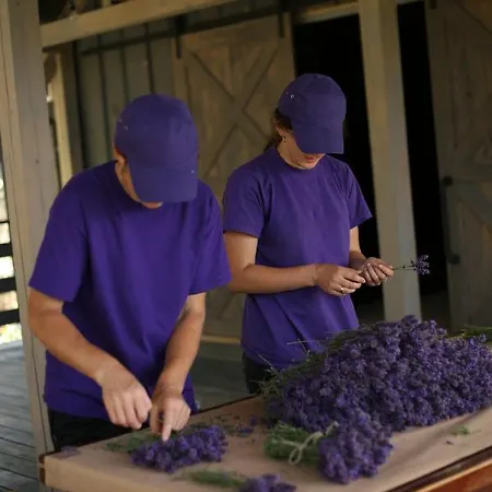 Lavender Valley Chalet *