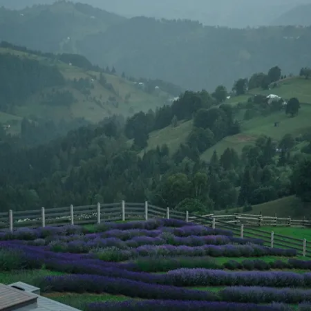 Chalé Lavender Valley Perekrestnoye