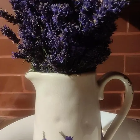 Lavender Valley * Perekrestnoye