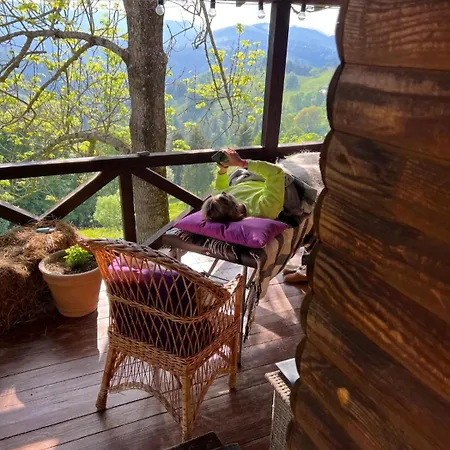 Chalet Lavender Valley