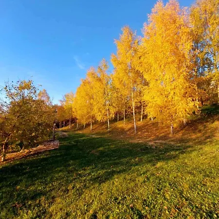 Chalé Lavender Valley Perekrestnoye