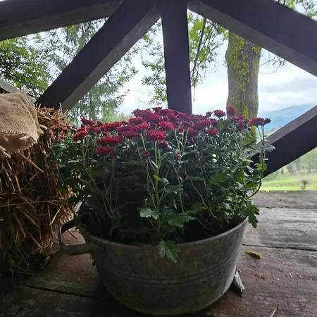 Lavender Valley Chalet *