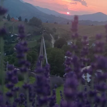 Lavender Valley Chalé *