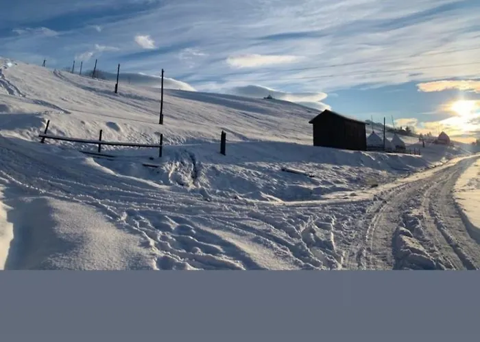 Chalet Lavender Valley *