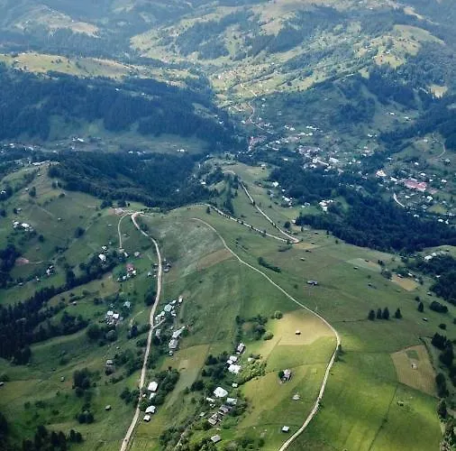 Lavender Valley *