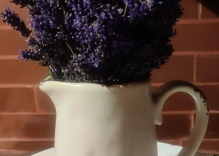 Lavender Valley * Perekrestnoye