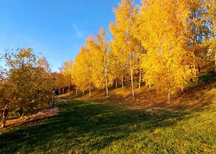 Chalet Lavender Valley Perekrestnoye