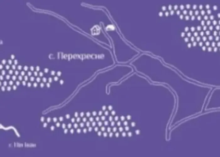 Lavender Valley *