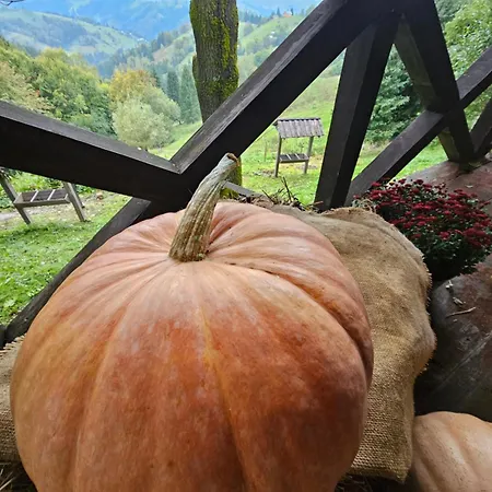 Chalet Lavender Valley