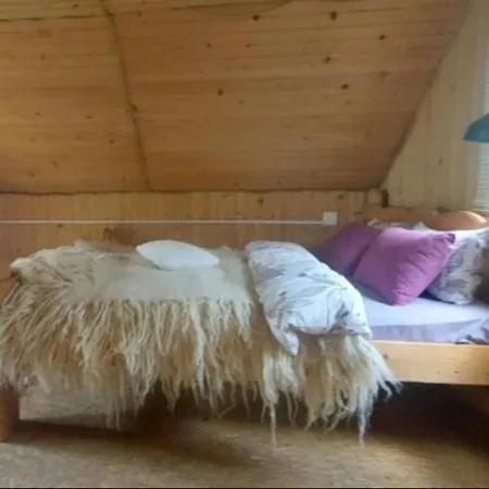 Lavender Valley