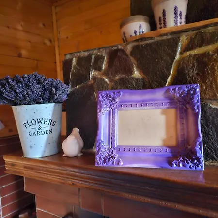 Lavender Valley *