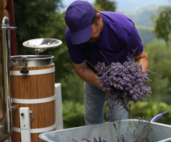 Lavender Valley Chalet Perekrestnoye