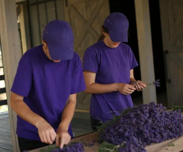 Lavender Valley Chalet *