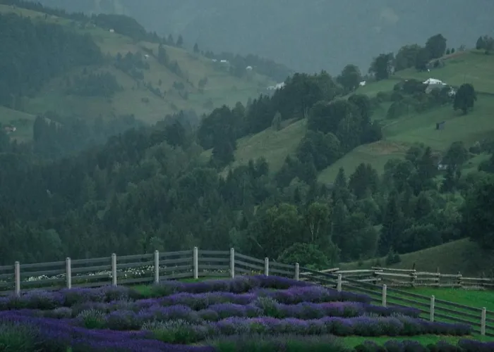 Chalet Lavender Valley Perekrestnoye